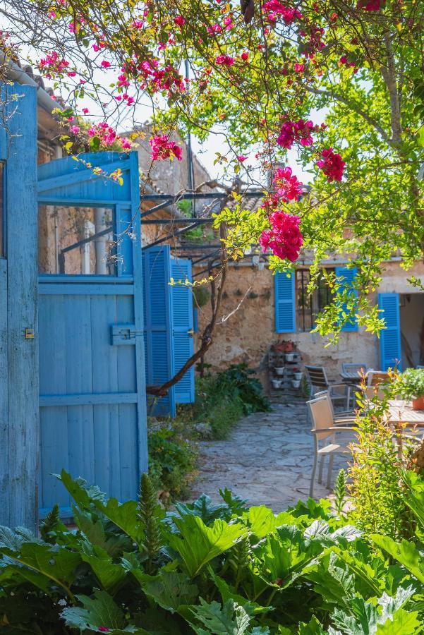 فيلا Sa Casa Rotja سينيو المظهر الخارجي الصورة