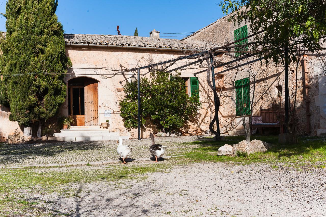 فيلا Sa Casa Rotja سينيو المظهر الخارجي الصورة
