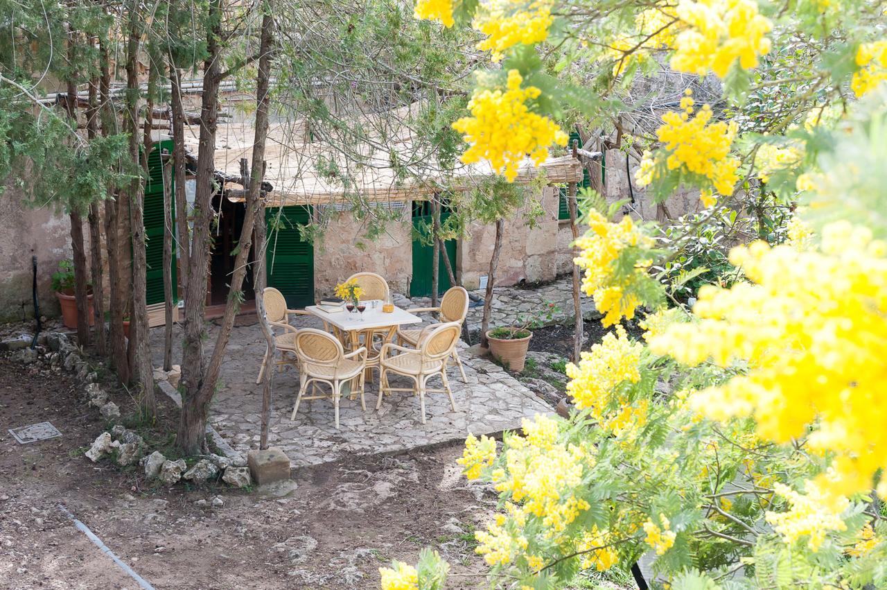 فيلا Sa Casa Rotja سينيو المظهر الخارجي الصورة